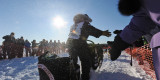 Iditarod αγώνες ελκυθρού 2012