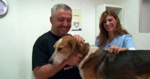 ο όμορφο σκυλάκι του Στάθη Παναγιωτόπουλου εμβολιάστηκε με το εμβόλιο CaniLeish