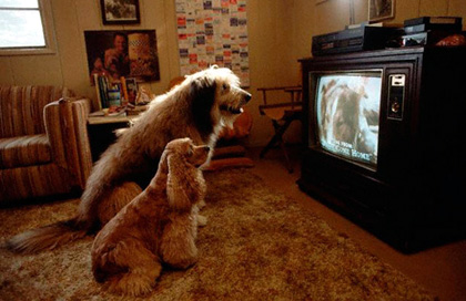 Σκύλος-TV