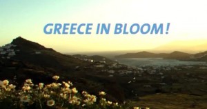Greece in bloom