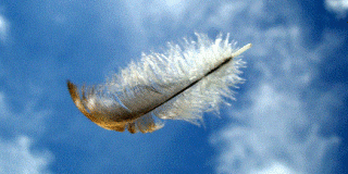 Φτερό στον άνεμο