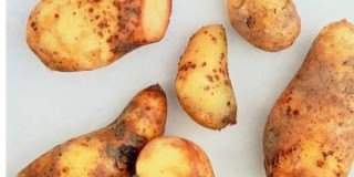 ΕΑΣ-ΚΙ: Τρόποι πρόληψης και αντιμετώπισης περονόσπορου στη πατάτα.