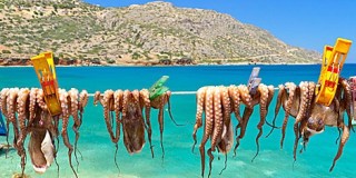Επιχείρηση «απάτη» σε βάρος Ελλήνων τουριστών 