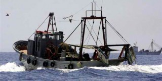 Υπερεκμετάλλευση αλιευμάτων σε Ιόνιο και Αιγαίο